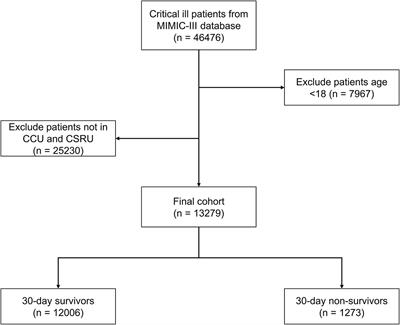 Relationship Between Initial Urine Output and Mortality in Patients Hospitalized in Cardiovascular Intensive Care Units: More Is Not Better